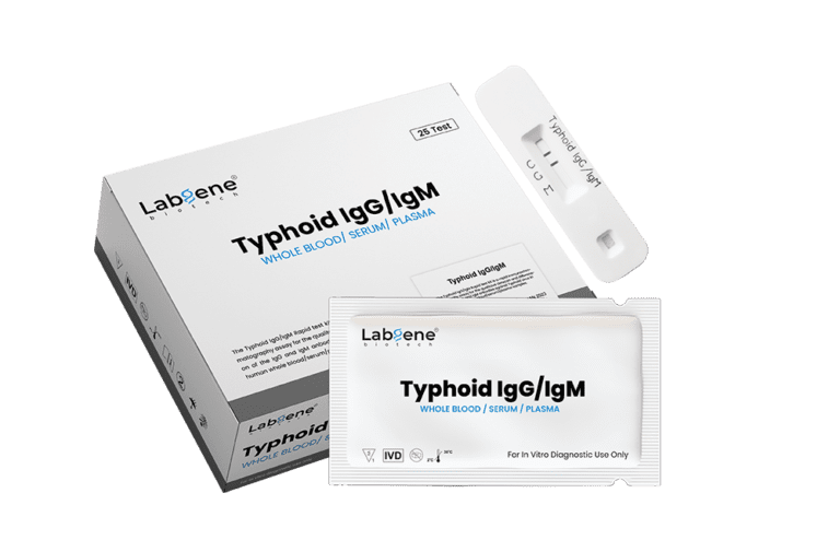 Typhoid IgG IgM Rapid Test